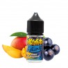 Absolute aroma concentré mango blackurrant