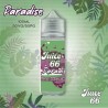 JUICE 66 - PARADISE - Berry Watermelon