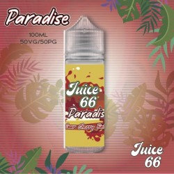 JUICE 66 - PARADISE - Sour...