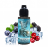 ICEBREAK - Truck 100ml (frais)