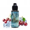 ICEBREAK - Ice 100ml (frais)