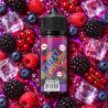 FIZZY WILD BERRIES 100ML